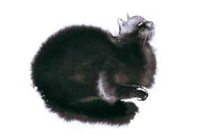 Le chat logo