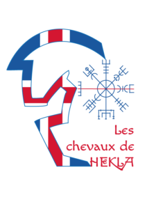 logo créé pour ce voyage en Islande